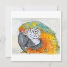Watercolor of Parrot on Flat Card