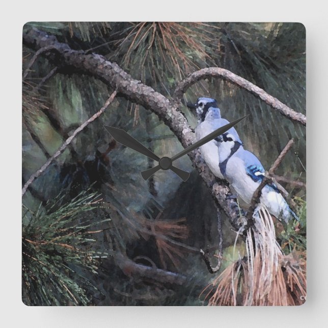 Watercolor of Two Blue Jays Square Wall Clock (Front)