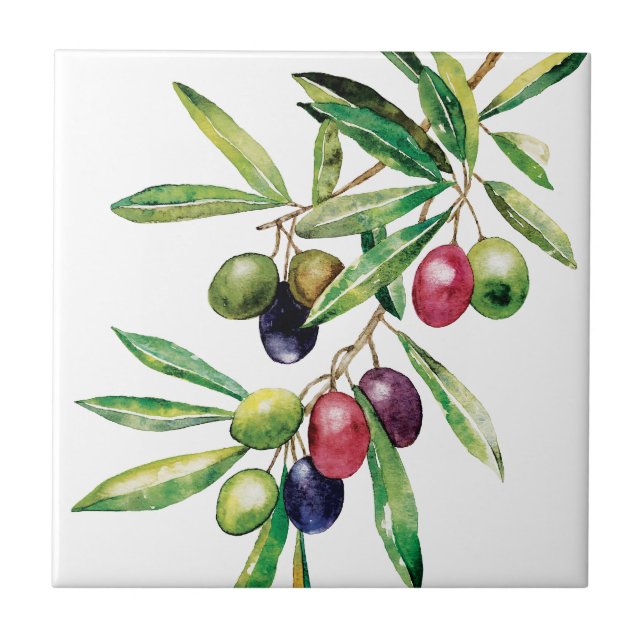 Watercolor Olive Branch Ceramic Tile (Front)