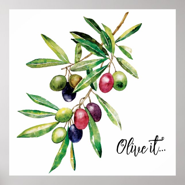 Watercolor Olive Branch Poster (Front)