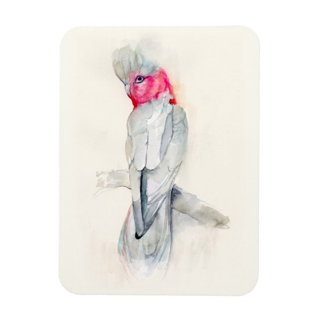 Watercolor Opera Cockatoo Magnet (Vertical)