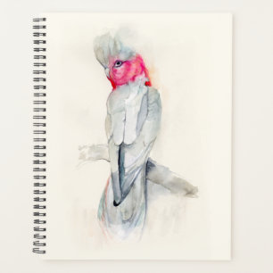 Watercolor Opera Cockatoo Planner
