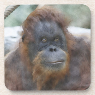 Watercolor Orang Coaster