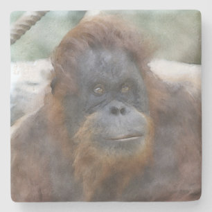 Watercolor Orang Stone Coaster