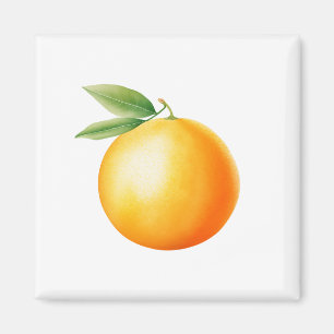 Watercolor Orange Magnet