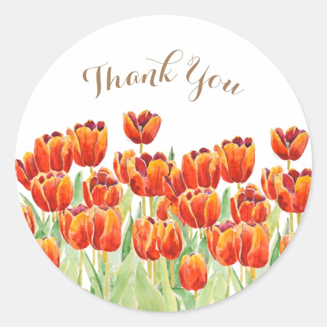 watercolor orange tulips classic round  sticker (Front)