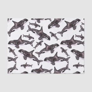 Watercolor Orca Tissue Paper