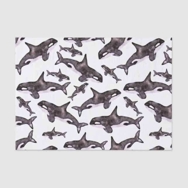 Watercolor Orca Tissue Paper (Front)