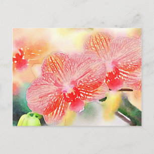 Watercolor Orchids Postcard