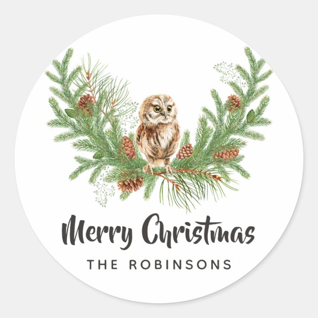 Watercolor Owl Christmas Classic Round Sticker (Front)