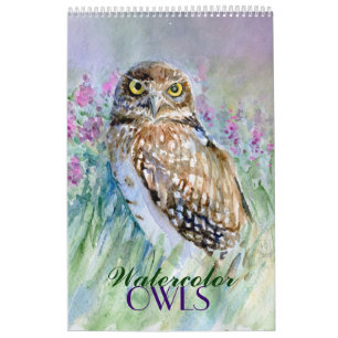 Watercolor owls  paintings calendar