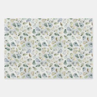 Watercolor Oyster Shells Gift Wrap