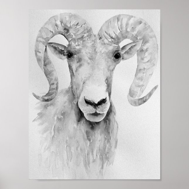 Watercolor Painting Abstract Ram Poster (Front)