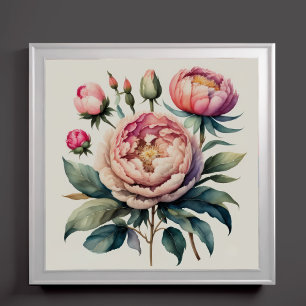 Watercolor Painting of Pink Peonies Poster