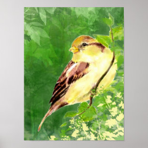 Watercolor Painting of Sparrow Bird in Tree Poster
