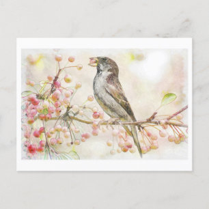Watercolor Painting of Sparrow Eating Berries Postcard