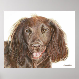 Watercolor Painting Working Cocker Spaniel Dog Poster