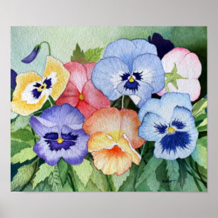 Watercolor Pansies II Art Print