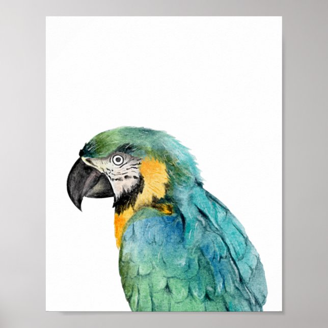 Watercolor Parrot Bird Blue Gold Macaw  Poster (Front)