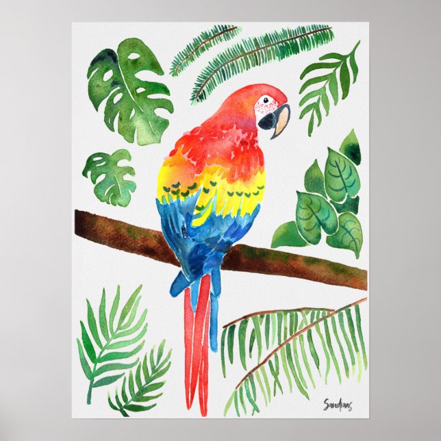 Watercolor Parrot Poster (Front)