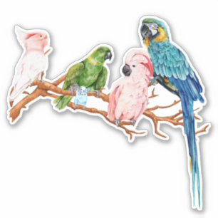 Watercolor Parrots Macaw Cockatoo Parakeet 