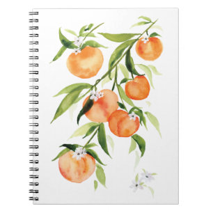 Watercolor peach summer fruit Spiral Notebook