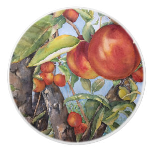 Watercolor Peach Tree Orchard Fruit Harvest Ceramic Knob