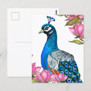 Watercolor peacock postcard