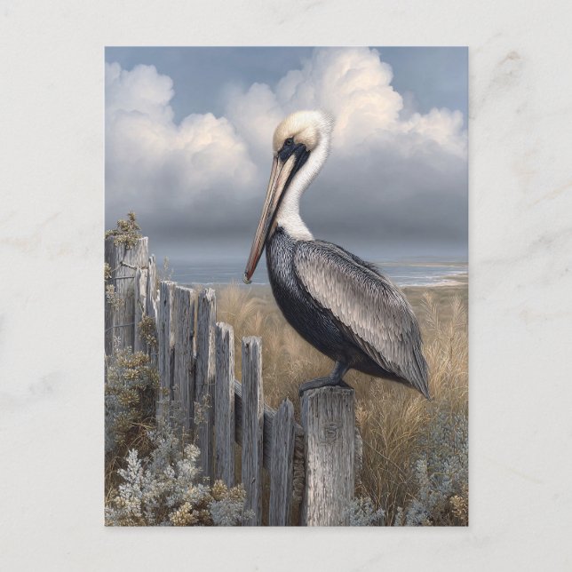 Watercolor Pelican on a Fence Postcard (Front)