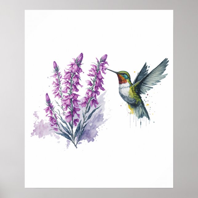 Watercolor Penstemon Flower and Hummingbird Poster (Front)