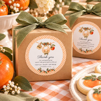 Watercolor Persimmon Baby Shower A Little Cutie Classic Round Sticker
