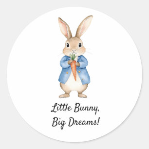 Watercolor Peter Rabbit Garden Party Baby Shower Classic Round Sticker