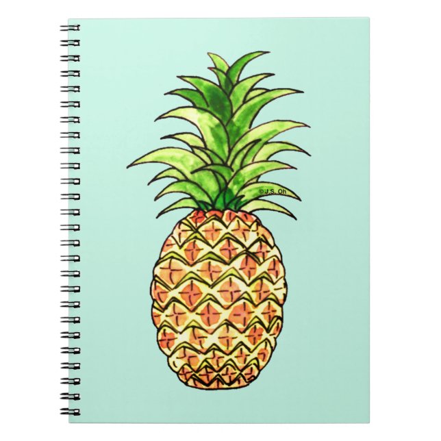 watercolor pineapple drawing notebook (Front)