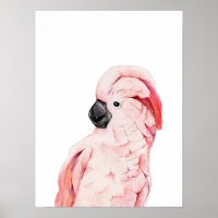 Watercolor Pink Cockatoo Moluccan