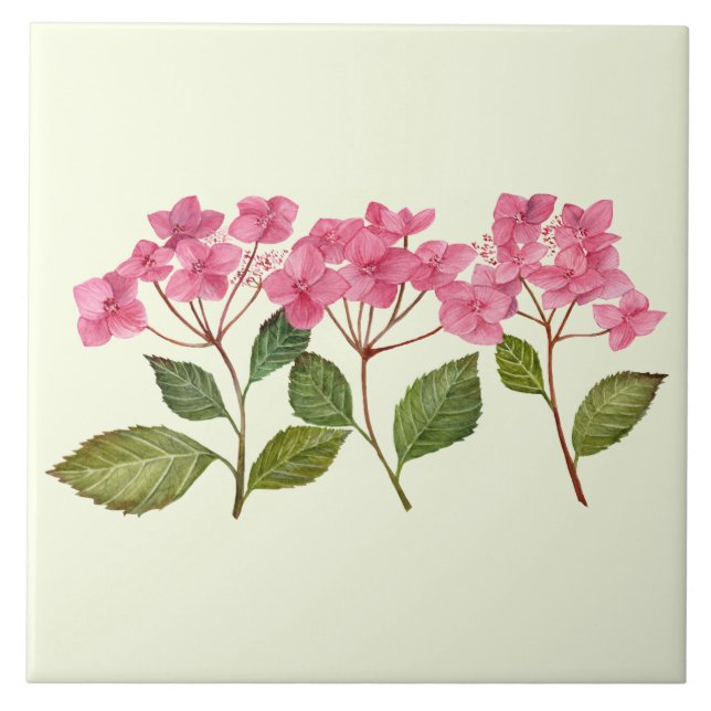 Watercolor Pink Hydrangea Lacecaps Pattern Ceramic Tile (Front)