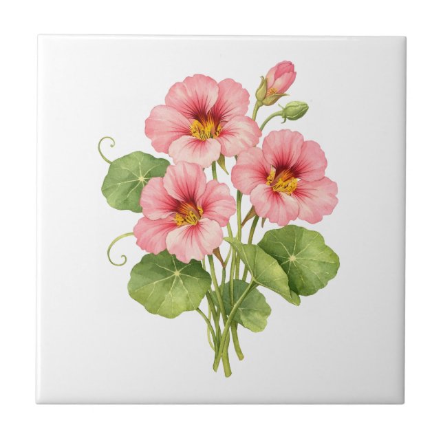 Watercolor Pink Nasturtium Flowers  Ceramic Tile (Front)