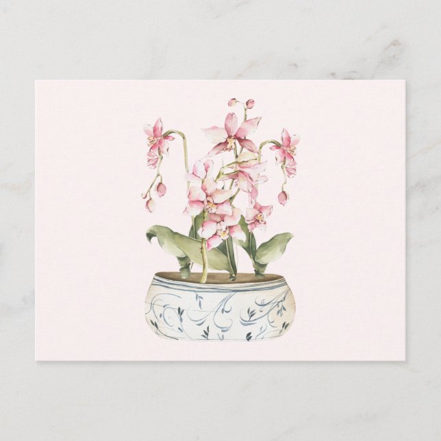 Watercolor Pink Orchid Flower Vase  Postcard (Front)