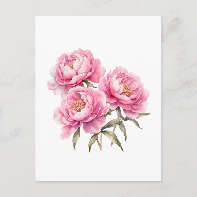 Watercolor Pink Peony Flowers Postcard (Front)