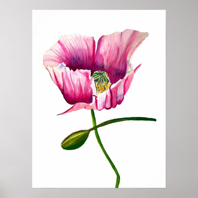 Watercolor pink poppy pretty flower poster (Front)