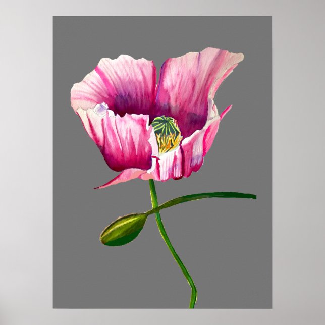 Watercolor pink poppy pretty flower poster (Front)