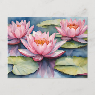 Watercolor Pink Water Lilies in the Pond  Postcard
