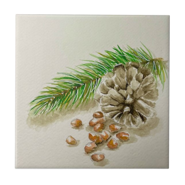 Watercolor Pinõn Nuts Pinecone New Mexico Ceramic Tile (Front)