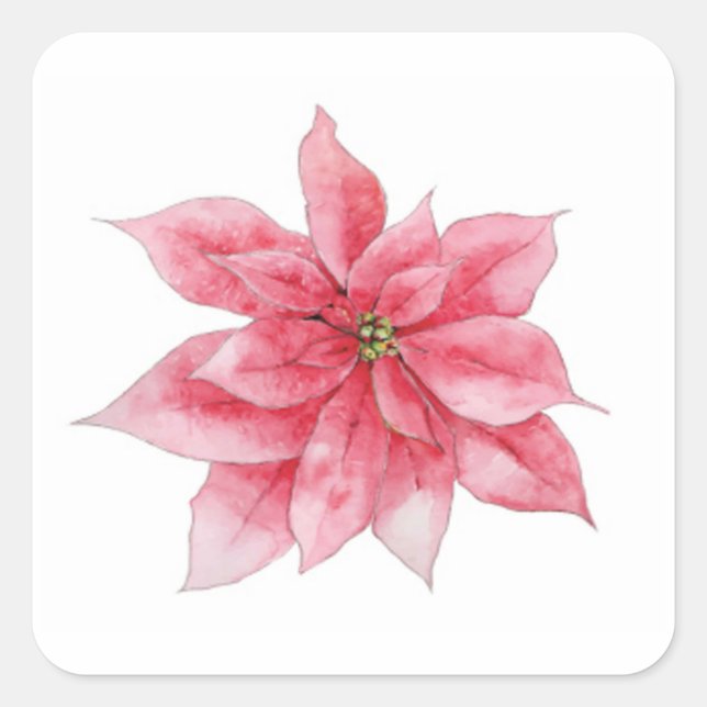 Watercolor Poinsettia Stickers (Front)