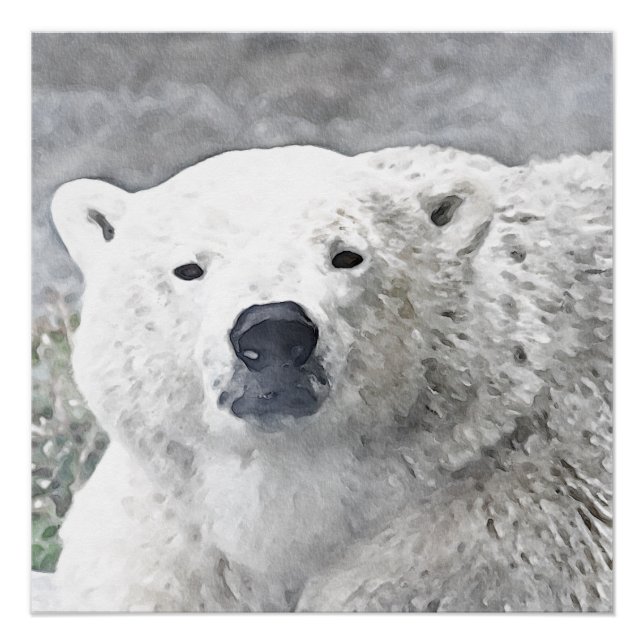 Watercolor Polar Bear Poster (Front)