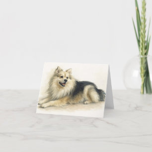 Watercolor Pomchi Dog Portrait  Thank You Card