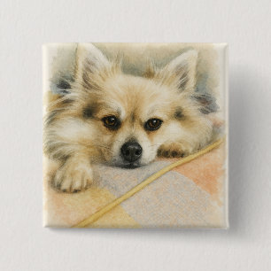 Watercolor Pomeranian Chihuahua Dog Portrait  15 Cm Square Badge