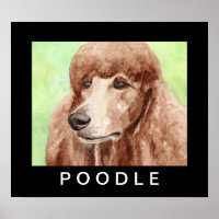 Watercolor Poodle
