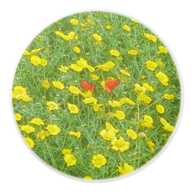 Watercolor poppies ceramic knob (Front)