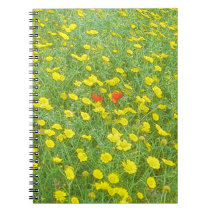 Watercolor poppies notebook