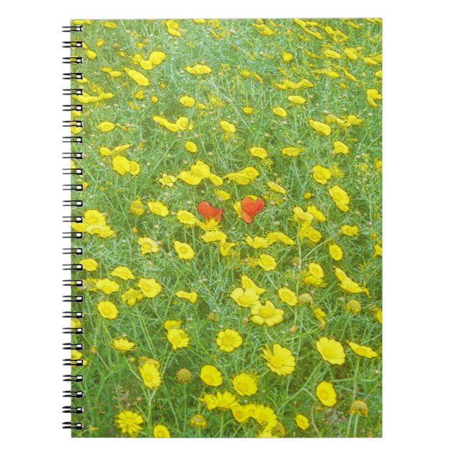 Watercolor poppies notebook (Front)